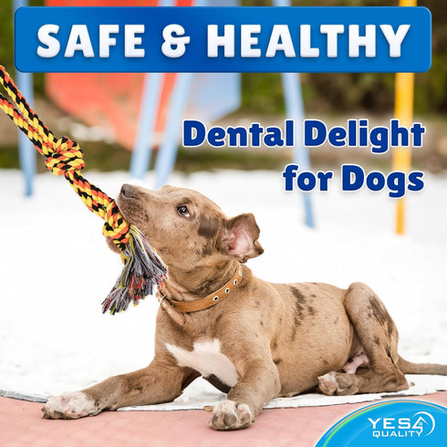 Dog Outdoor Bungee Hanging Toy - Blue Interactive Tree Tug Toy with Metal Spring Kit & 2 Rope Toys