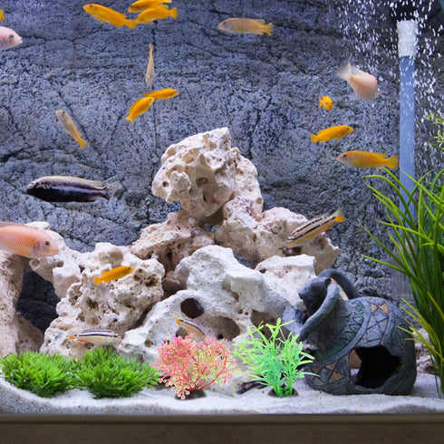 PATKAW Terrarium Plants, 20pcs Miniature Aquarium Plants for Micro Landscape Bonsai Decorations