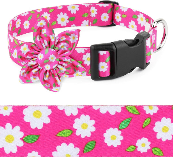 Daisy Pink Dog Collar with Flower Bow, Cute Floral Collars for Small Medium Large Dogs, Hot Pink Options