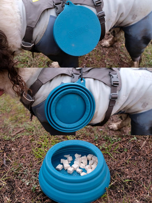 OHMO-Collapsible Dog Water Bowl, Anti Tip Over No Spill from Car Movement, 24oz Medium, Peacock Blue