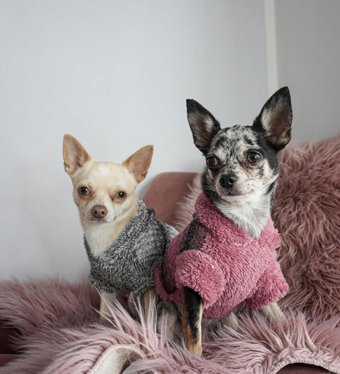 Fitwarm Fuzzy Dog Sweater, Knitted Winter Dog Clothes for Small Dogs Boy Girl, Pet Cat Hooded Outfit, Heather Grey, Black, Medium