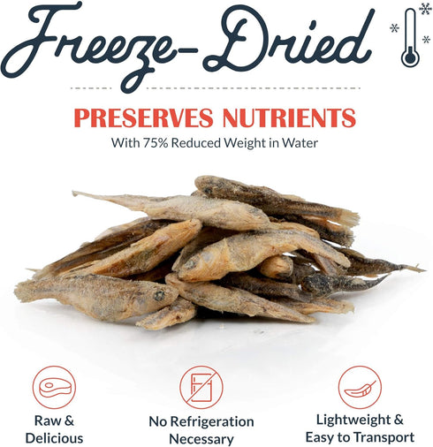 Flourish Pets Freeze-Dried Raw Pet Treats, Raw Minnow Chews, 1 Oz