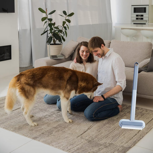 Pet Hair Remover, 4 in 1 Cat and Dog Hair Remover with Extra Long Handle, 17-Inch for Furniture and Carpet