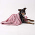 Bone Dry Pet Grooming Towel Collection - Absorbent Microfiber X-Large, 41x23.5", Embroidered Rose