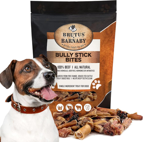 BRUTUS & BARNABY Bully Stick Bites - Grass Fed Low Odor Bites - All Natural and Grain Free (2lb)