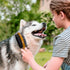 TAKAVU Two-Sided Dog Cat Grooming Brush - Multi-purpose Pet Brush for Loose Hair, Dirt, and Healthy Coat