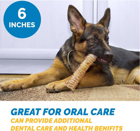 6" Trachea for Dogs - 10 Pack, 100% Natural Beef