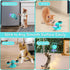 GBSYU Interactive Windmill Cat Toys with Catnip : Cat Toys for Indoor Cats Funny Kitten Toys with LED Light Ball