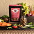 Fromm Four-Star Nutritionals Salmon with Sweet Potato Dog Treats, Premium Oven Baked Snacks, 8 oz