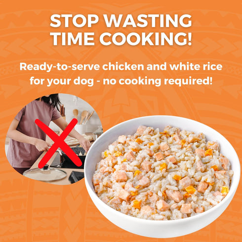 KOHA Limited Ingredient Chicken and White Rice Recipe, Sensitive Stomach Wet Dog Food, Gentle Formula, Pack of 6