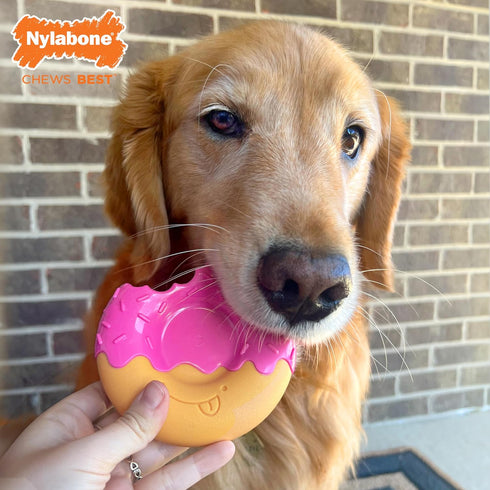 Nylabone Power Chew Donut Dog Chew Toy - Fun Durable Dog Toys for Aggressive Chewers, Bacon Glazed Flavor, Large/Giant