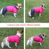 Fleece Lined Dog Coat with Detachable Hood and Hind Legs, Warm Puppy Jacket for Winter (Blue XXL)