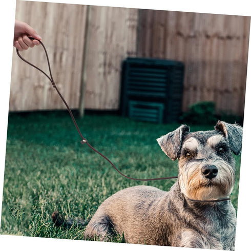 FOMIYES Dog Rope Walking Leash, Heavy Drawstring Leather Pet Supplies for Walking