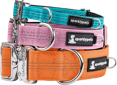 SparklyPets Small Dog Collar with Quick Release Buckle & AirTag Holder - Reflective Stripes & Soft Lining for Small &