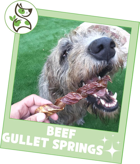Nature Gnaws Beef Gullet Springs for Dogs, 7-8" (12 Count) - Natural Beef Jerky Stick Chew Treats