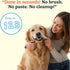 Vet-Recommended 60 Count Jasper Dog Dental Wipes, All-Natural Finger Toothbrush Wipes for Dogs, Fresh Breath & Tartar