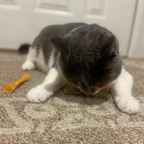 SPOT Kitty Fun Tubes Cat Toy | Interactive Bouncy Toy with Catnip for Cats and Kittens | 3 Pieces
