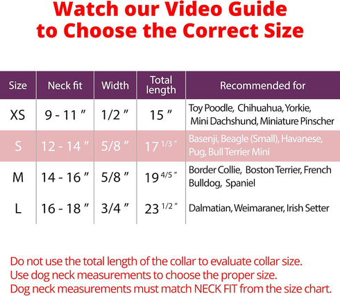 BRONZEDOG Rolled Leather Dog Collar for Small Medium Large Dogs with QR ID Tag (S: 12-14 Inch, Plum)