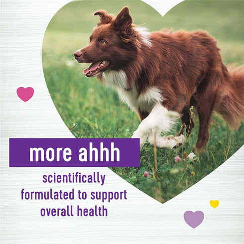 45 Count Wellness Peanut Butter & Apple Flavored Soft Chews Multi-Benefit Supplements for Dogs