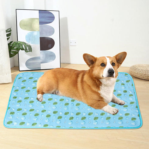 DELIFUR Cat Cooling Mat- Pet Cooling Mat Outdoor for Dogs Self Cooling Pad for Kitten Cat Puppy Machine Washable