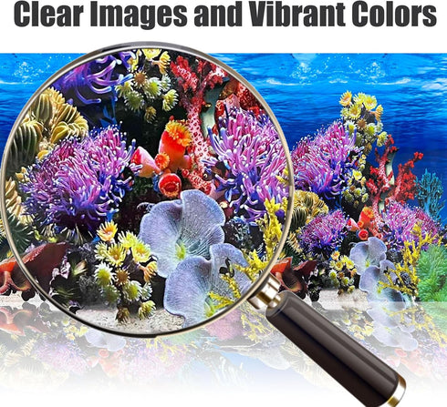 Fish Backgrounds Paper Double Sides Undersea Aquarium Poster, Colorful Sea Anemone Fish Tank Sticker Decorations.