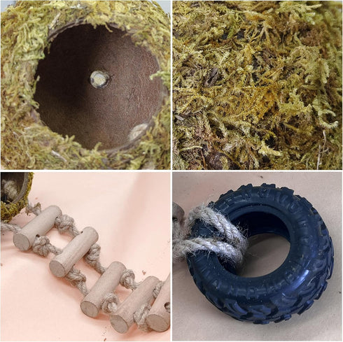 Hermit Crab Moss Coconut Shell Hideout with Climb Ladder,Leopard Gecko Hide Hut with Moss and Sea Shells,Hermit Crab