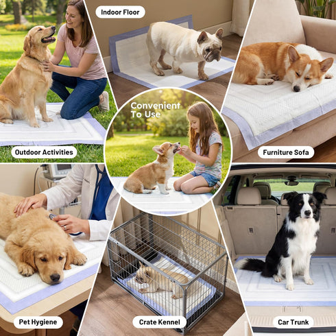 3D-Barrier 7 22"x23" 25 Counts 4 ZOMISIA Puppy Pee Pads for Dogs, Cups Absorb & Rise Puffy Gel-Wall Leak-Proof, + Pet