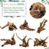 Tfwadmx Aquarium Driftwood Decorations, Natural Wood Branches 6-10" Fish Tank Decor (4 Pcs)