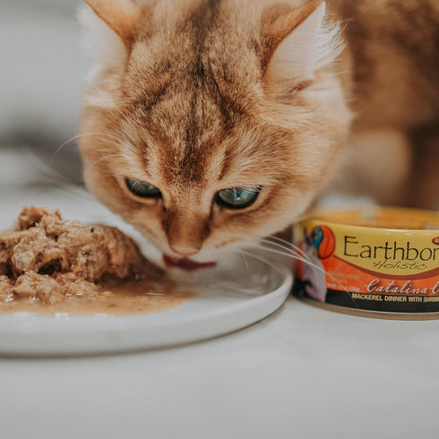 Earthborn Holistic Catalina Catch Grain-Free Moist Cat Food