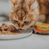 Earthborn Holistic Catalina Catch Grain-Free Moist Cat Food