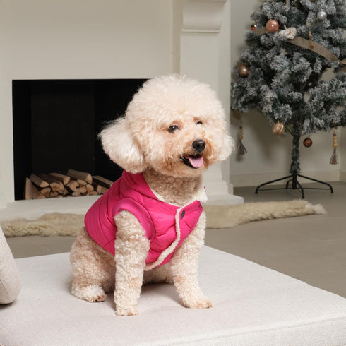 Extra Warm Fleece Lining Dog Hoodie Jacket for Large Dogs, Pink, Winter, XL, Pet Coats with Hooded