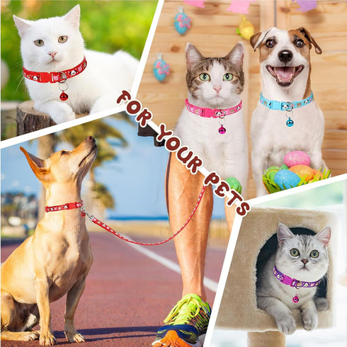 Amylove 48 Pcs Dog Collar and Leash Set, Polypropylene Adjustable Puppy Collars for Medium Small Dogs, Vivid Color,
