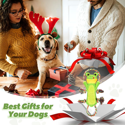 Dog Plush Squeak Toys with Crinkle Paper and Ropes, Interactive Toys for Small, Medium, Large Dogs