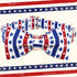 Elegant Little Tail Independence Day Dog Collar, American Flag Bowtie for 4th of July, Adjustable Soft Puppy Collar