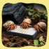 Hermit Crab Food Bowl with Grid,Large Capacity, Less Prone to Tipping Over for Reptile & Small Animal Tanks Hermit Crab