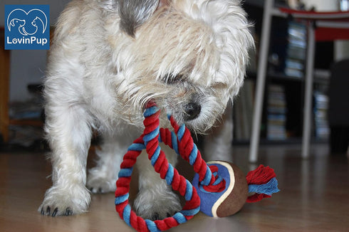 Dog Rope Toy with Tennis Ball - Fun Tug of War Toy for Aggressive Chewers, Tough Nylon Rope with Balls (3 Set)