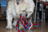 Dog Rope Toy with Tennis Ball - Fun Tug of War Toy for Aggressive Chewers, Tough Nylon Rope with Balls (3 Set)