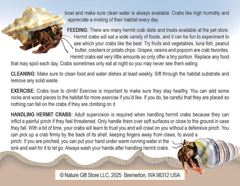 Store 2 2 Nature Gift Live Hermit Crabs Shipped Now-with Premium Hermit Crab Shells: Land Crabs with Extra Shells