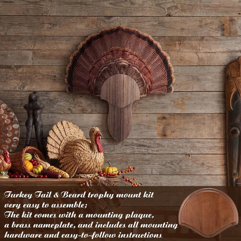 (14.5 Inch,Grey,Walnut Bucherry Turkey Tail Fan Mounting Kit for Hanging Turkey Tail, Feather, Beard, Wall Mounted