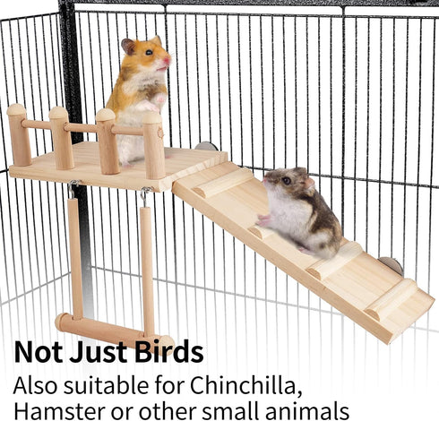 Bird Perches Platform Swing with Climbing Ladder, Sturdy Wooden Playing Gyms for Small Birds