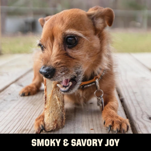 Barkworthies USA Hickory Smoked Rib Bones for Dogs - 10-Pack All Natural Long Lasting Smoked Dog Bones
