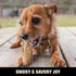 Barkworthies USA Hickory Smoked Rib Bones for Dogs - 10-Pack All Natural Long Lasting Smoked Dog Bones