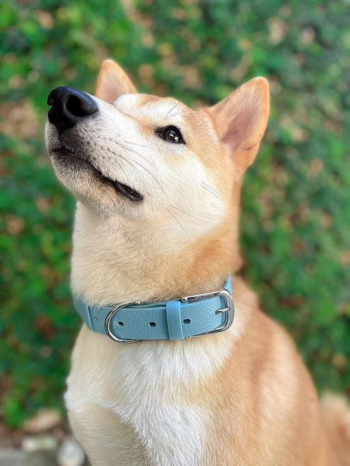 Tuff Pupper Classic Heavy Duty Dog Collar, 10x Stronger Than Leather, Waterproof & Odor Proof, Large (19-23" Neck)