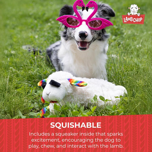 (10.5", 5 Multipet Lamb Chop Dog Plush Toy w/Birthday Hat - Squeaky Toy for All Dogs - Extra Soft Plush - Stuffed