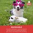 (10.5", 5 Multipet Lamb Chop Dog Plush Toy w/Birthday Hat - Squeaky Toy for All Dogs - Extra Soft Plush - Stuffed