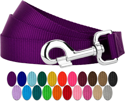 Country Brook Petz 1 Inch Nylon Dog Leash, Traditional Style, Purple, 6 Foot
