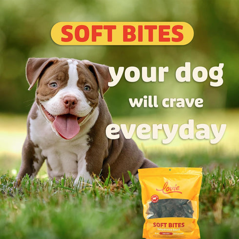 Lovie 16 oz Beef Lung Dog Treats - Dehydrated Air Dried Soft Bites, Single Ingredient, Protein Rich
