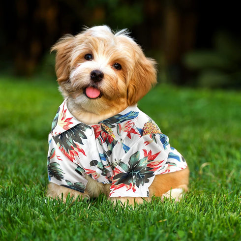 Weewooday 4 Pieces Small Pet Summer T-Shirts, Hawaii Style Floral Dog Shirt, Breathable Cool Clothes for Puppy