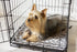 18x24 (Set 4) Caldwell's Pet Supply Co. Potty Pads, Washable Pee Pads for Dogs, Reusable Pee Pad for Dogs, Puppy Potty