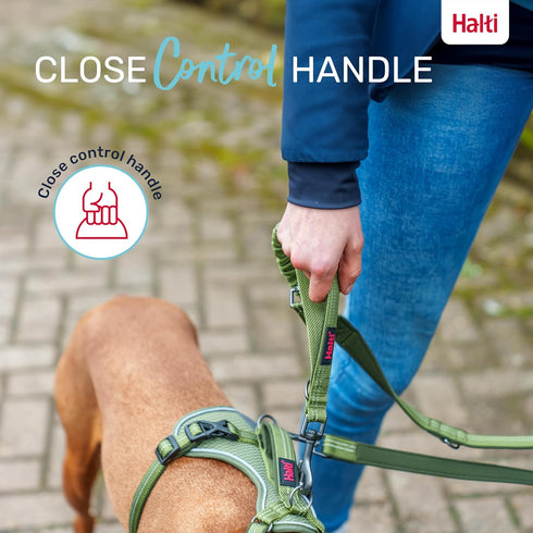 HALTI Anatomy Multifunctional Dog Leash - Shock Absorbing Double-Ended Leash, Ideal for Walking & Training, Size Small,